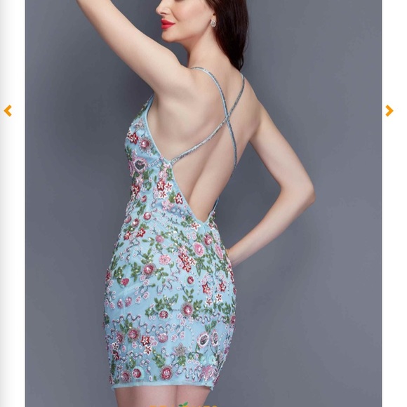 Primavera Homecoming/Prom Dress - Picture 2 of 2